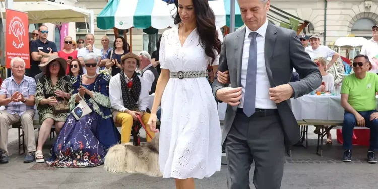 Zaljubljeni premier