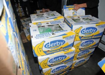 Brand Izet, Velenje, komunisti in podpisano premirje pri županu Jankoviću.