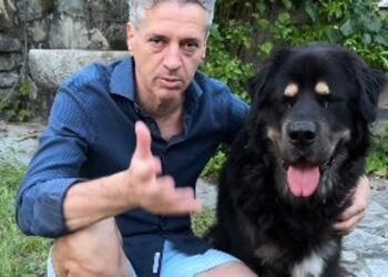 Piškotki za Robija. Nabavni referent kokaina za I8M zeleni Kos je spisal tožbo in padel v črno luknjo